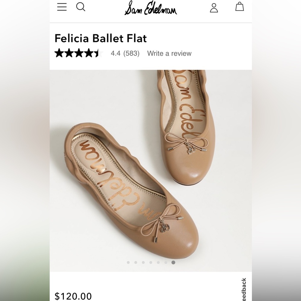 Sam Edelman Felicia Ballet Flat - Brown